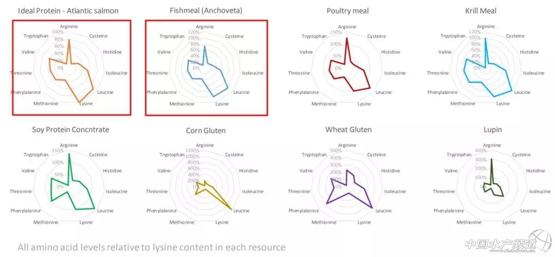 美威董事长：Omega-3或许没那么重要，但鱼粉依然不可完全替代
