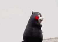 肥东一中二中艺体班,合肥一中特长生招生计划