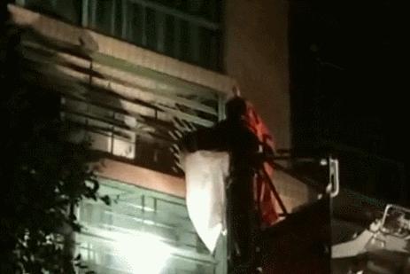 东莞清溪马蜂,清溪找马蜂