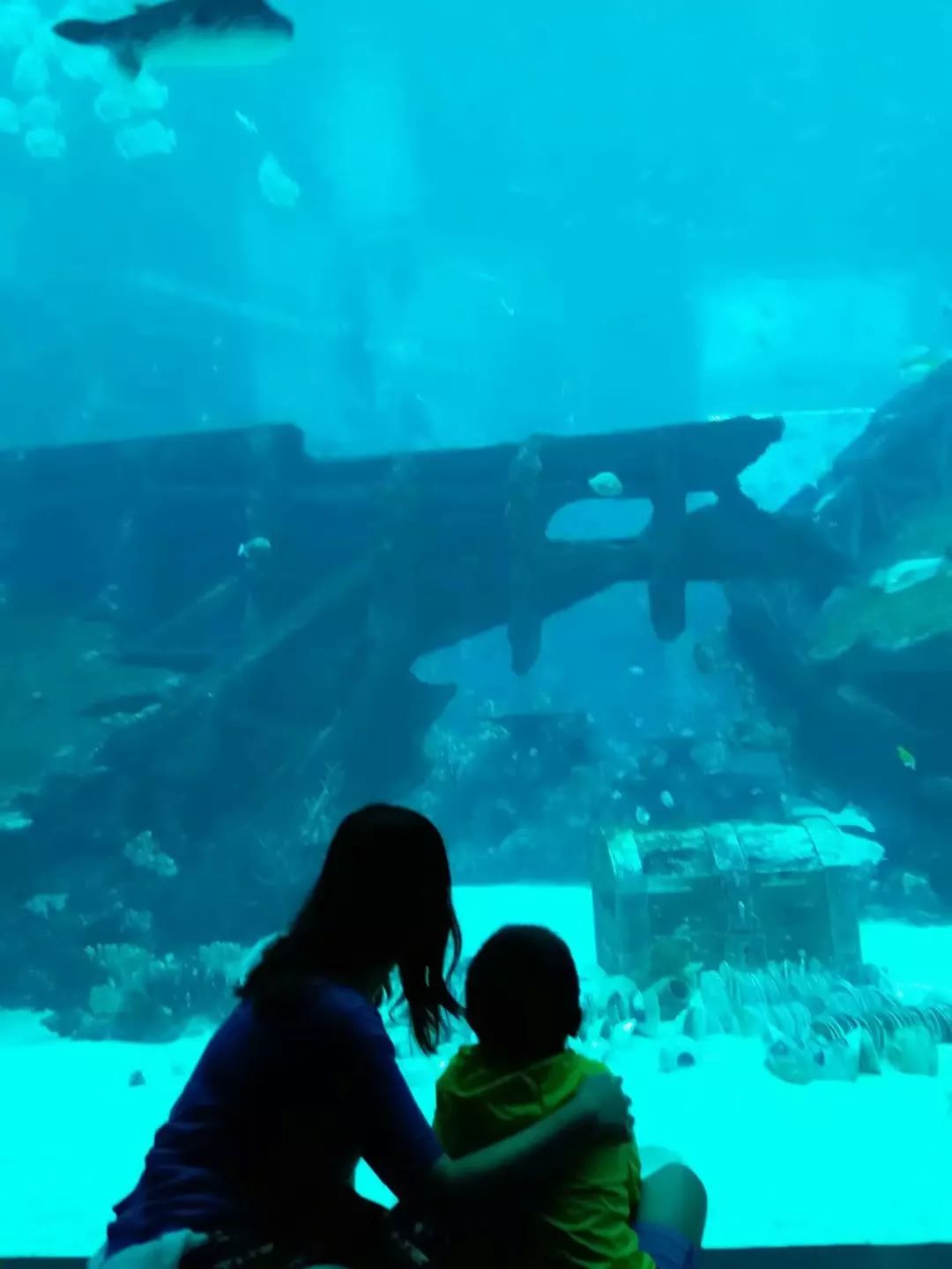 魔都国际学校汇总,魔都国际学校