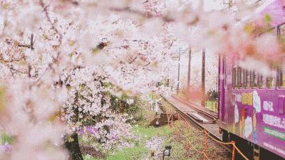 315特辑！去东京浅草寺替顾客祈福？杭州这家奶茶店这回摊上事了！