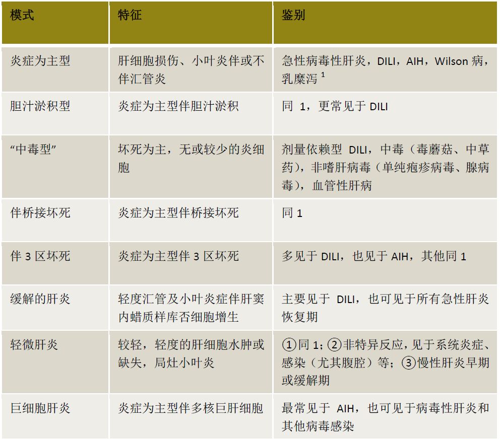 精华回顾｜肝胆精英荟：肝脏炎症性损伤的临床及病理鉴别诊断——杨永峰教授