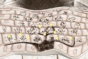 蒸汽抗疲劳缓解黑眼圈眼罩,泰国草本蒸汽眼罩