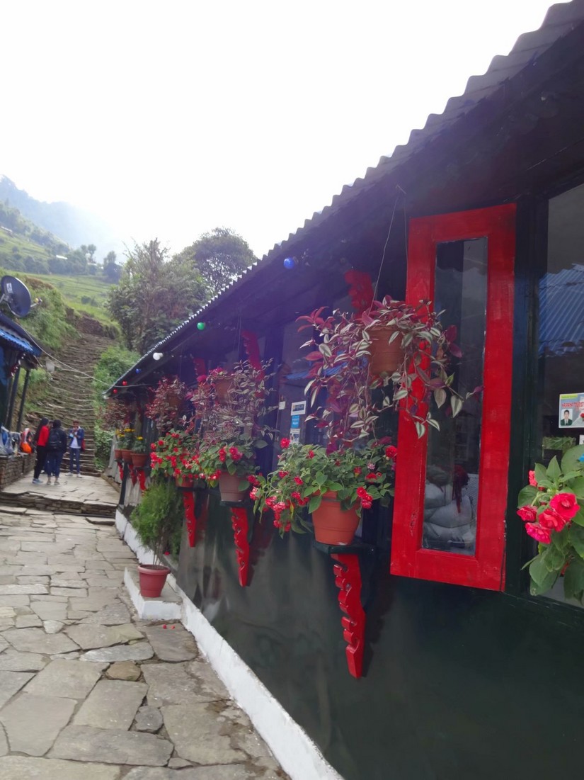 尼泊尔abc徒步要多少钱,尼泊尔abc徒步完整视频