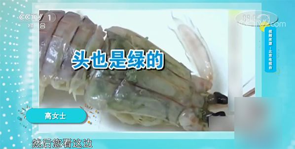 冻虾呈蓝色绿色能吃吗,冻虾变蓝绿色还能吃吗