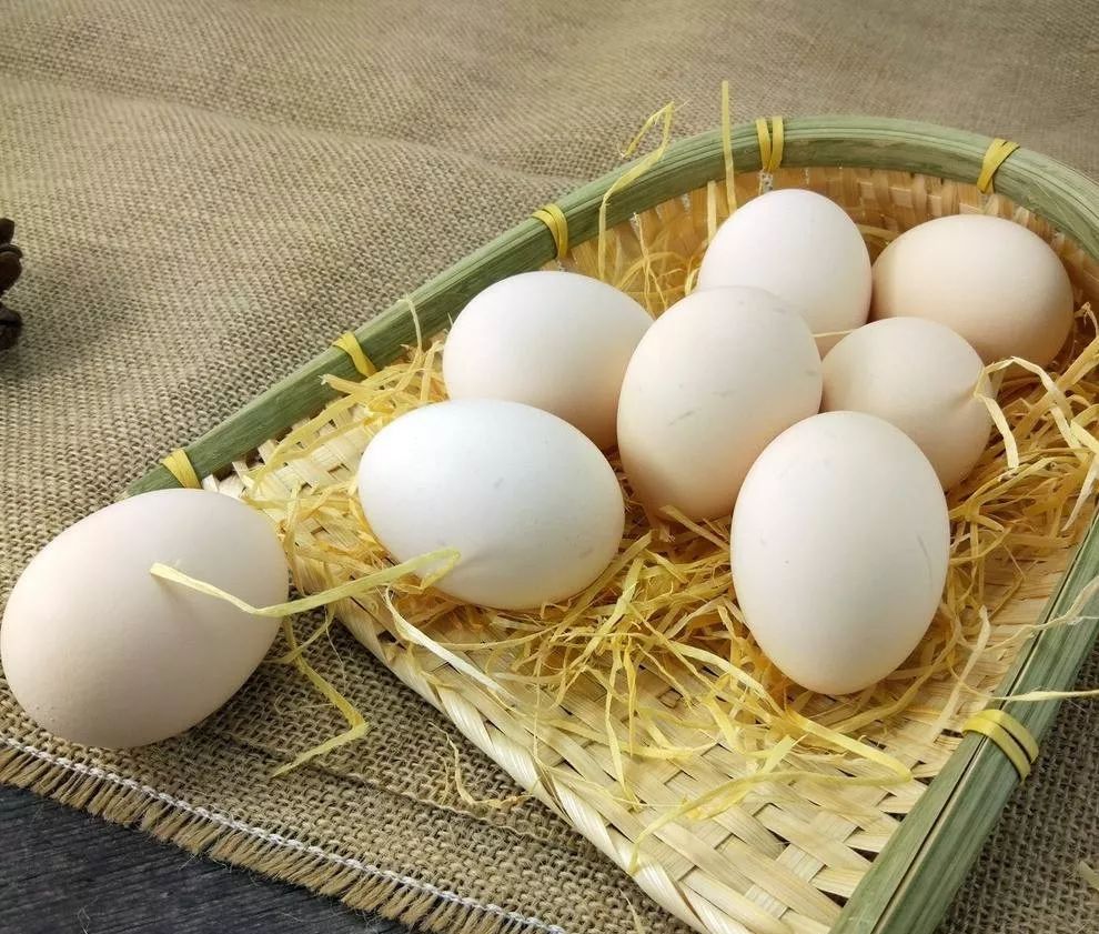 「分享」没有食物能防癌！酵素全都在骗钱！101条谣言，一次全辟掉