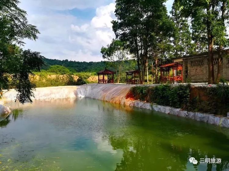 福建树屋酒店推荐,福建特色树屋民宿度假屋特点