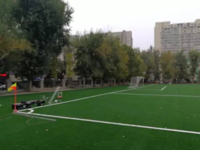 大连东北路小学南关岭足球比赛,大连东北路小学足球训练