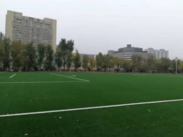 大连东北路小学南关岭足球比赛,大连东北路小学足球训练