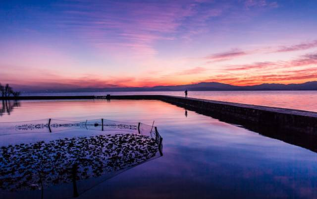 戳心窝的春城日常生活，625万昆明人边看边哭！