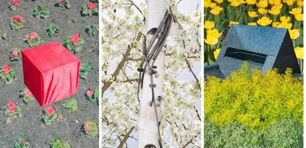 东欧摄影作品,东欧摄影之旅