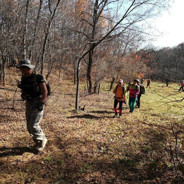 汪清直播外景,汪清户外直播