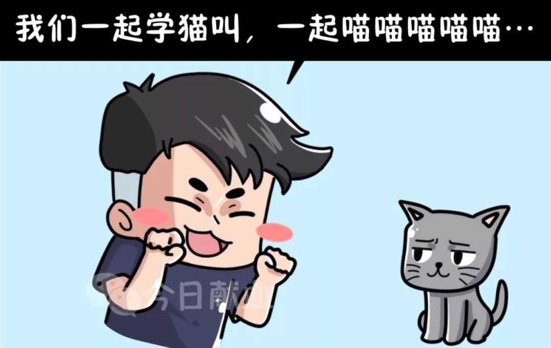 献血被拒绝是什么原因,献血会因为什么原因被拒绝