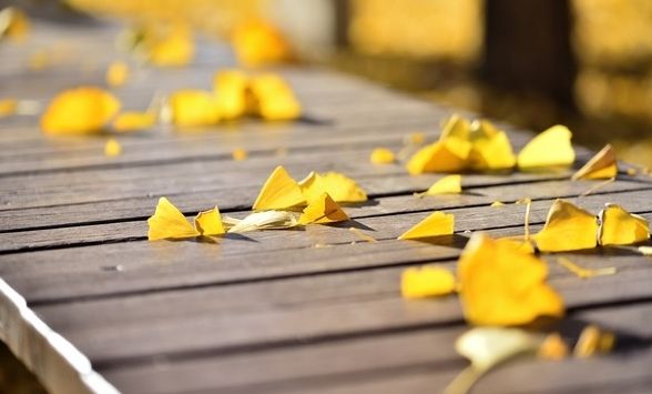 「靓·白云」秋天的白云鄂博，仿佛让你置身岁月的留声机中……