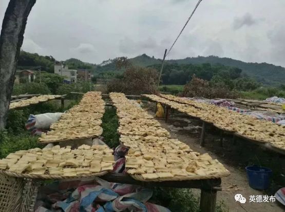 「关注」英德这件“宝”火了！出口货值达5600多万美元！占全省同类产品出口额七成！