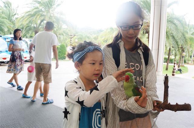 三亚亲子私人定制旅游攻略,三亚自驾亲子游攻略