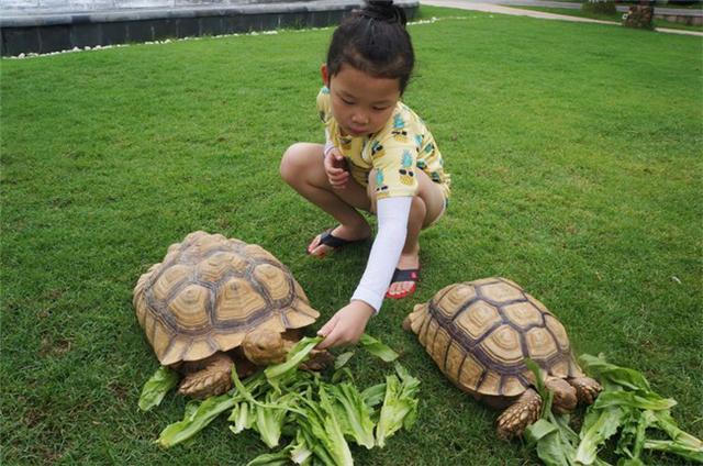三亚亲子私人定制旅游攻略,三亚自驾亲子游攻略