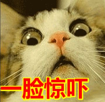 ugg事件最新结果,ugg出现问题