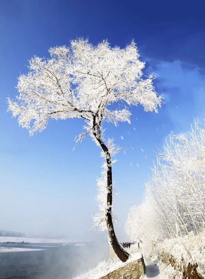 刘烨旅游,刘烨一家四口出游