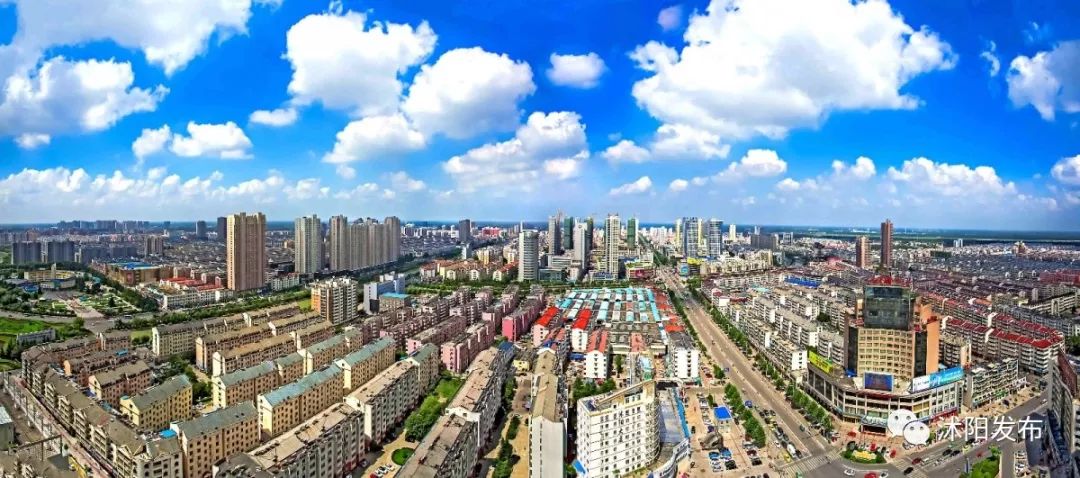 夏老师到底爱谁,夏老师喜欢陈律吗