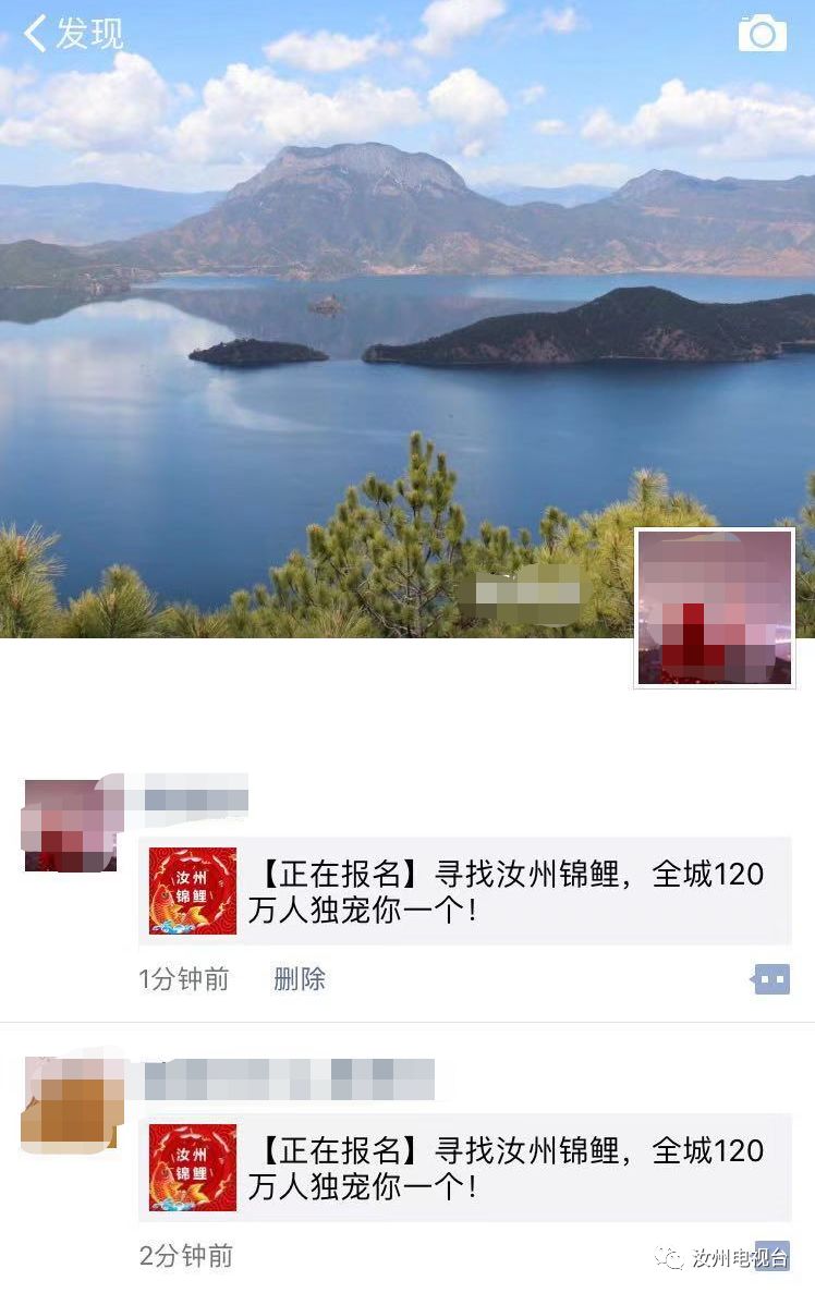 你报名成功了吗,汝州锦鲤