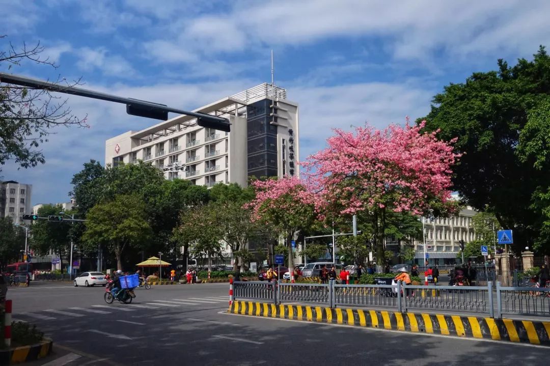 分娩镇痛定点医院,分娩镇痛试点医院是什么意思