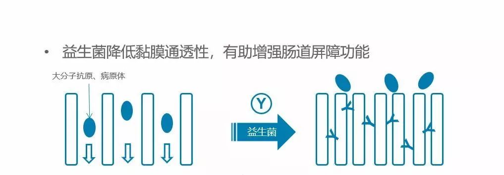 引发澳洲各大媒体争相报道的TA，凭什么可以C位出道？