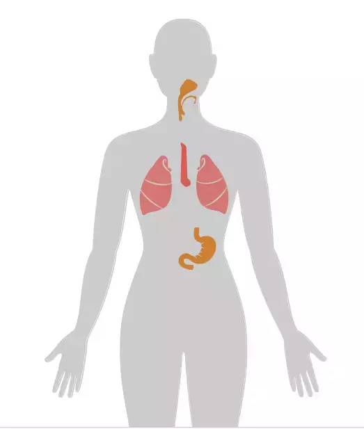 20个癌症的真实案例,13种癌症最新研究报告