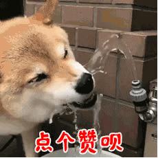 双飞人药水香港原装老牌活络油,双飞人药水可以带几瓶过香港海关