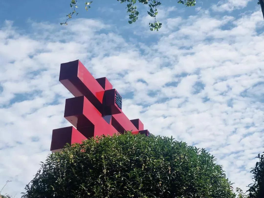 成都成华区小学排名,石室小学在成华区排名