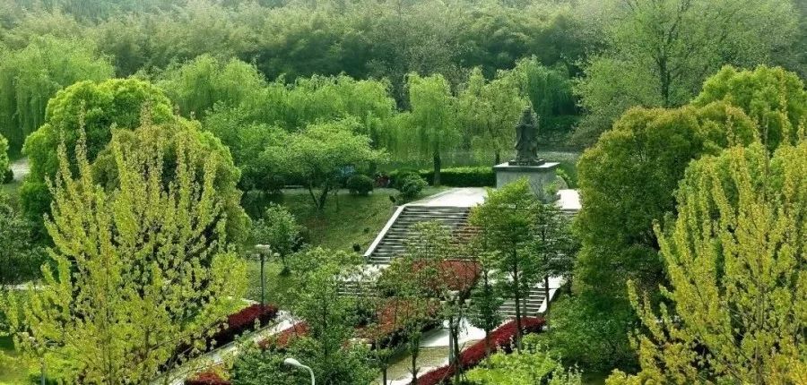 大学的高尔夫球场,大学中的高尔夫