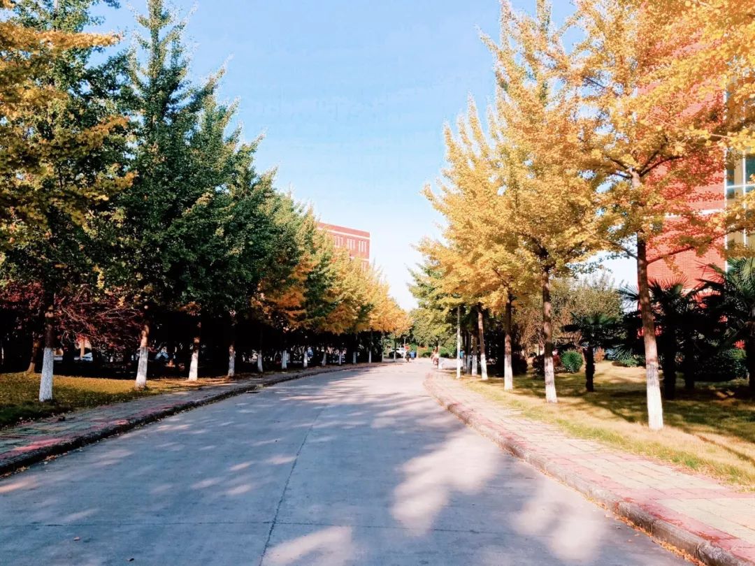 淮南师范学院教学评价,淮南师范学院学科评估