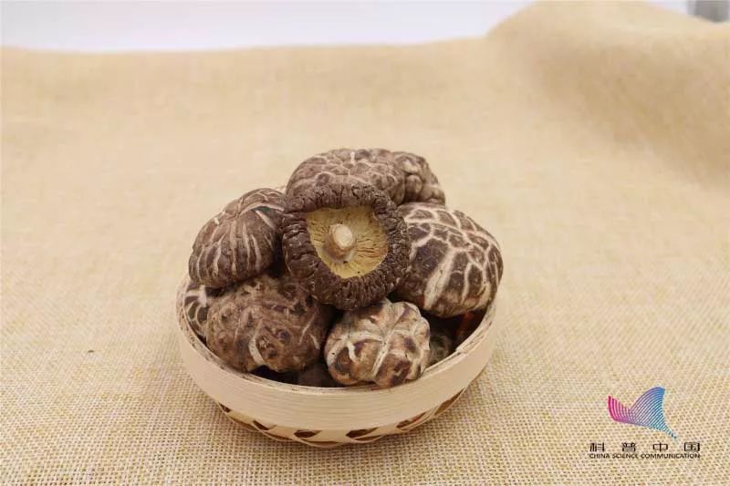 抗癌食物是真的还是假的,抗癌食物是真的么