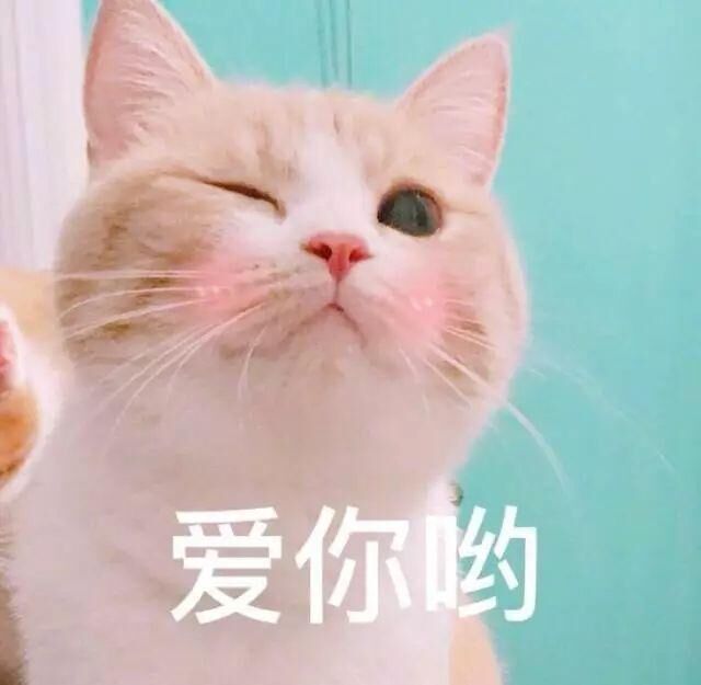 我的王者故事：男朋友？不存在的，我只要王者荣耀！