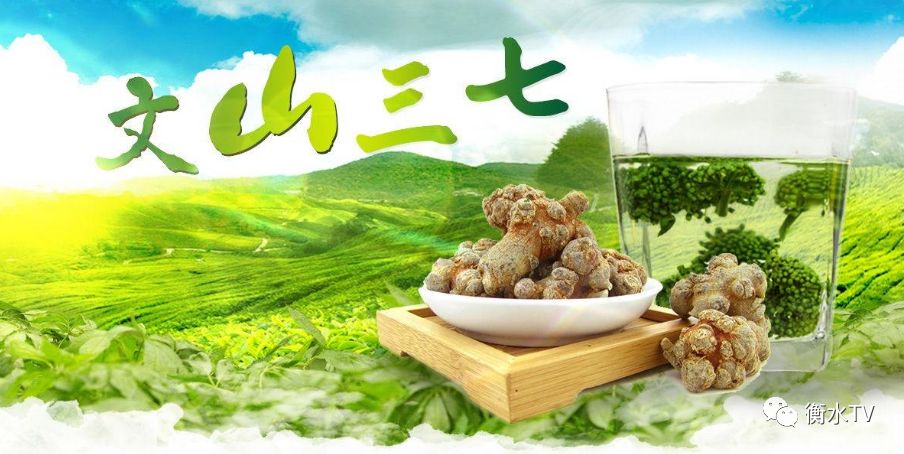 纯正文山三七粉每日一元限量体验,三七粉特价