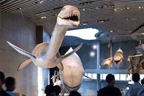 万圣节搞活动,万圣节搞啥活动