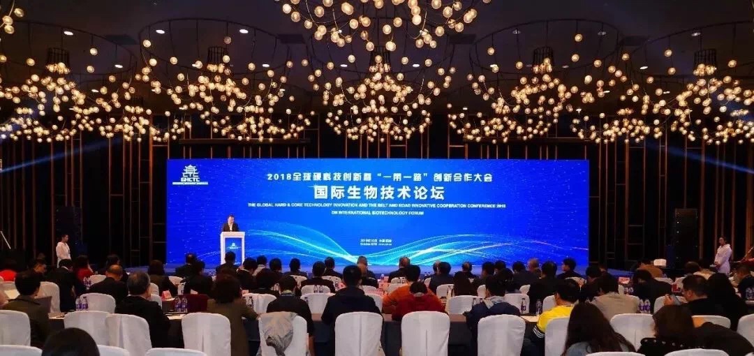 涓撹鏉庤帀,浣扮編鍩哄洜鏉庤帀