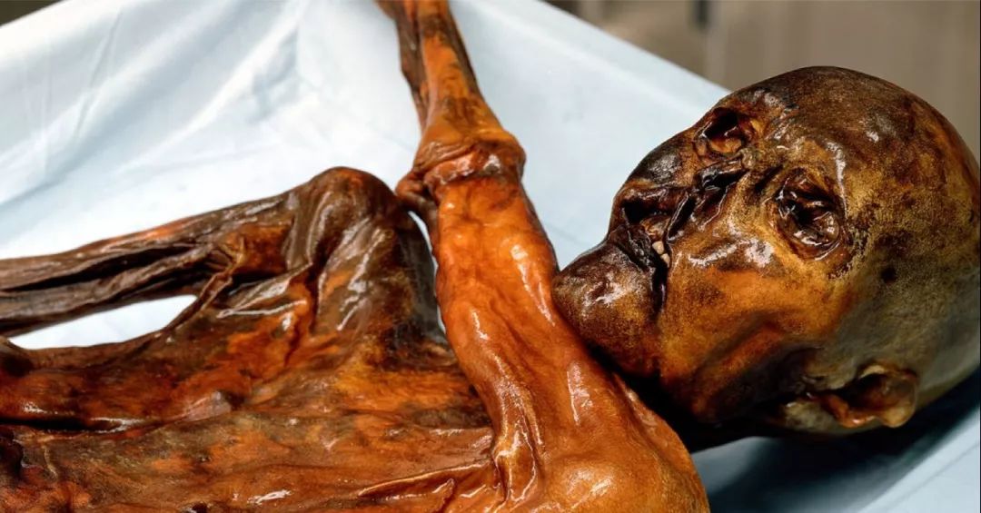 教你搭｜穿孔，皮肤与金属