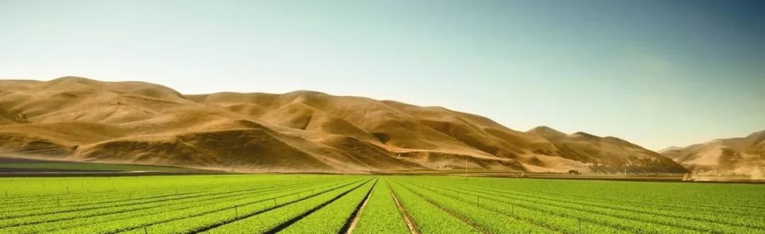 国内外农业众筹发展历程,农业众筹需要注意的事项