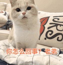 相城这家“小老弟”企业，凭什么敢做三星的“挑战者”？