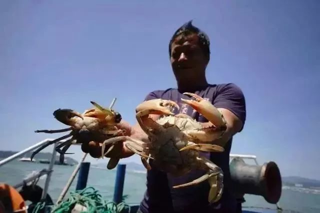 双十一去旅游,双11去双合石壁玩