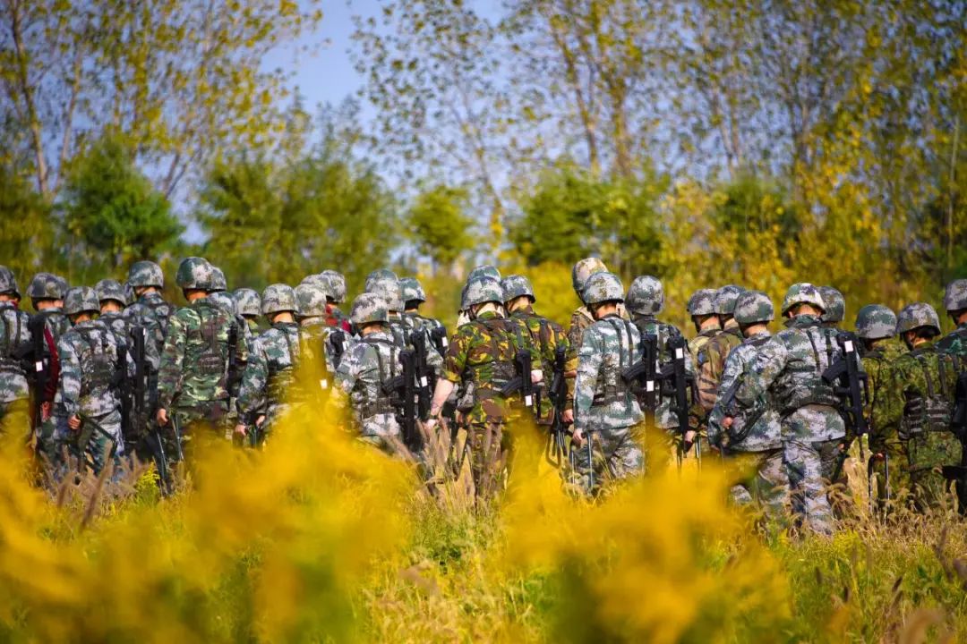 现场直击陆军,直击陆军某旅新年开训