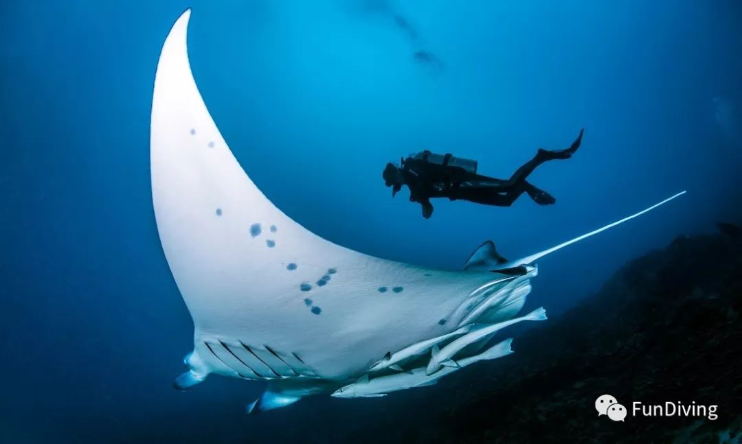 塔希提岛度假,最接近天堂的地方在哪