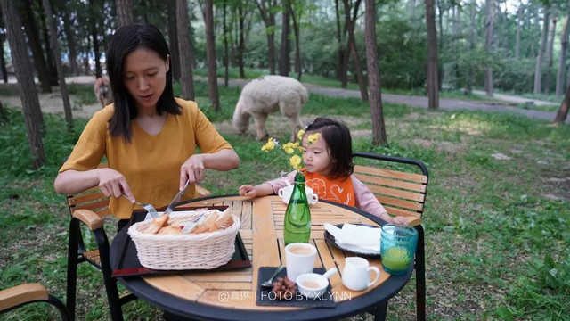 羊驼陪吃早餐，天鹅湖中畅游，藏身北京奥森旁的休憩之地：在之禾