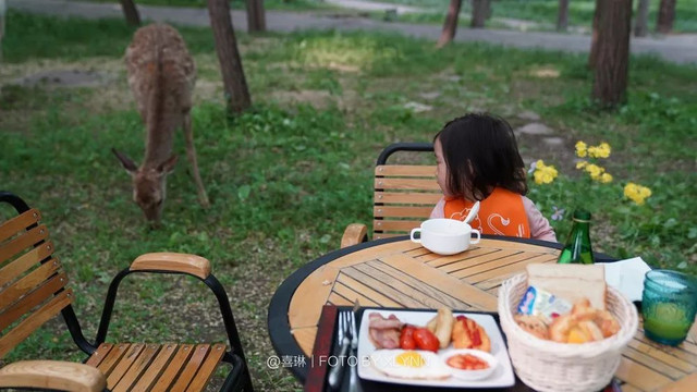 羊驼陪吃早餐，天鹅湖中畅游，藏身北京奥森旁的休憩之地：在之禾