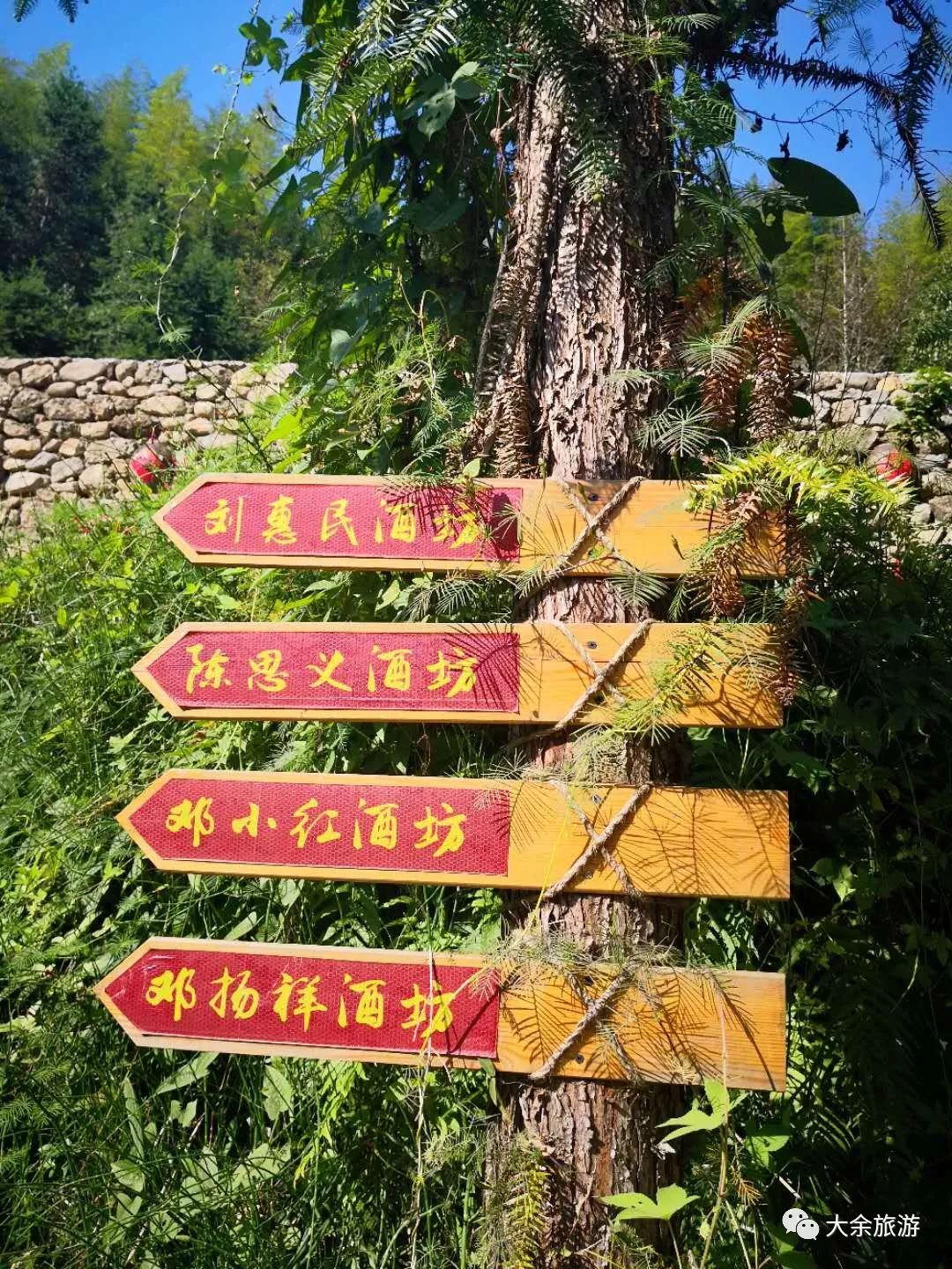 跟我走吧带你去旅行合拍,跟我走吧我带你去旅游完整版