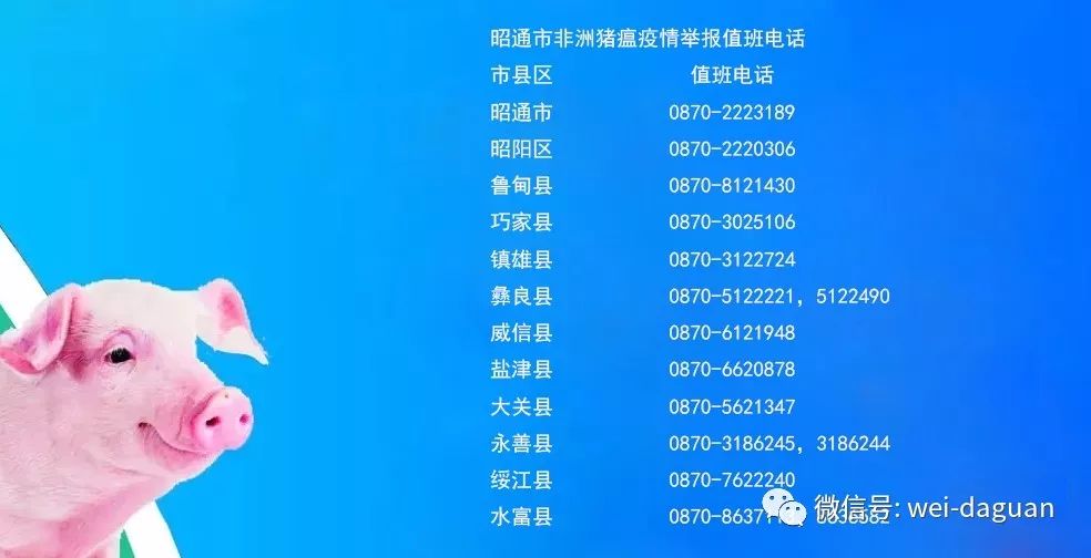 速看一大批岗位招聘,速看一大波招聘来袭