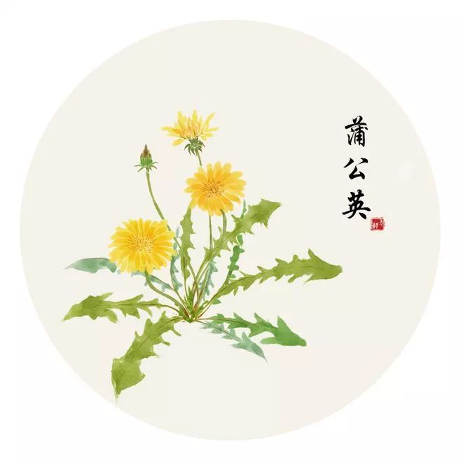 和汉字很相似的字大全,汉字中有哪些相似的字