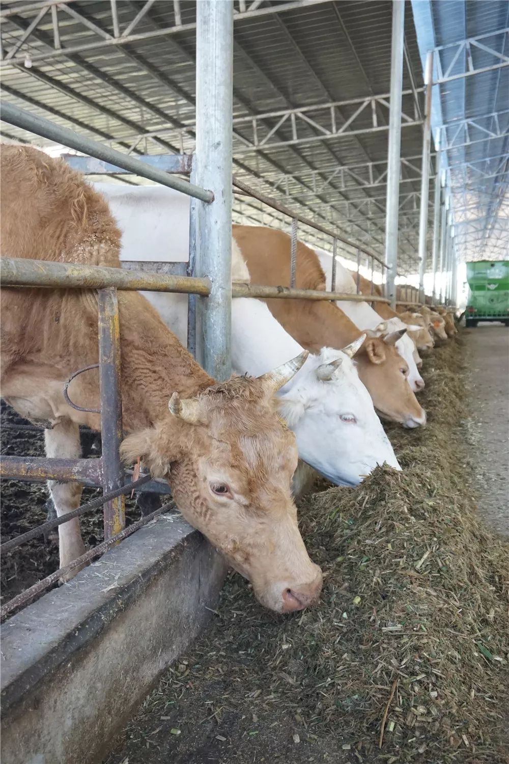 广西在别人眼中是什么样子的,南宁在广西人眼里