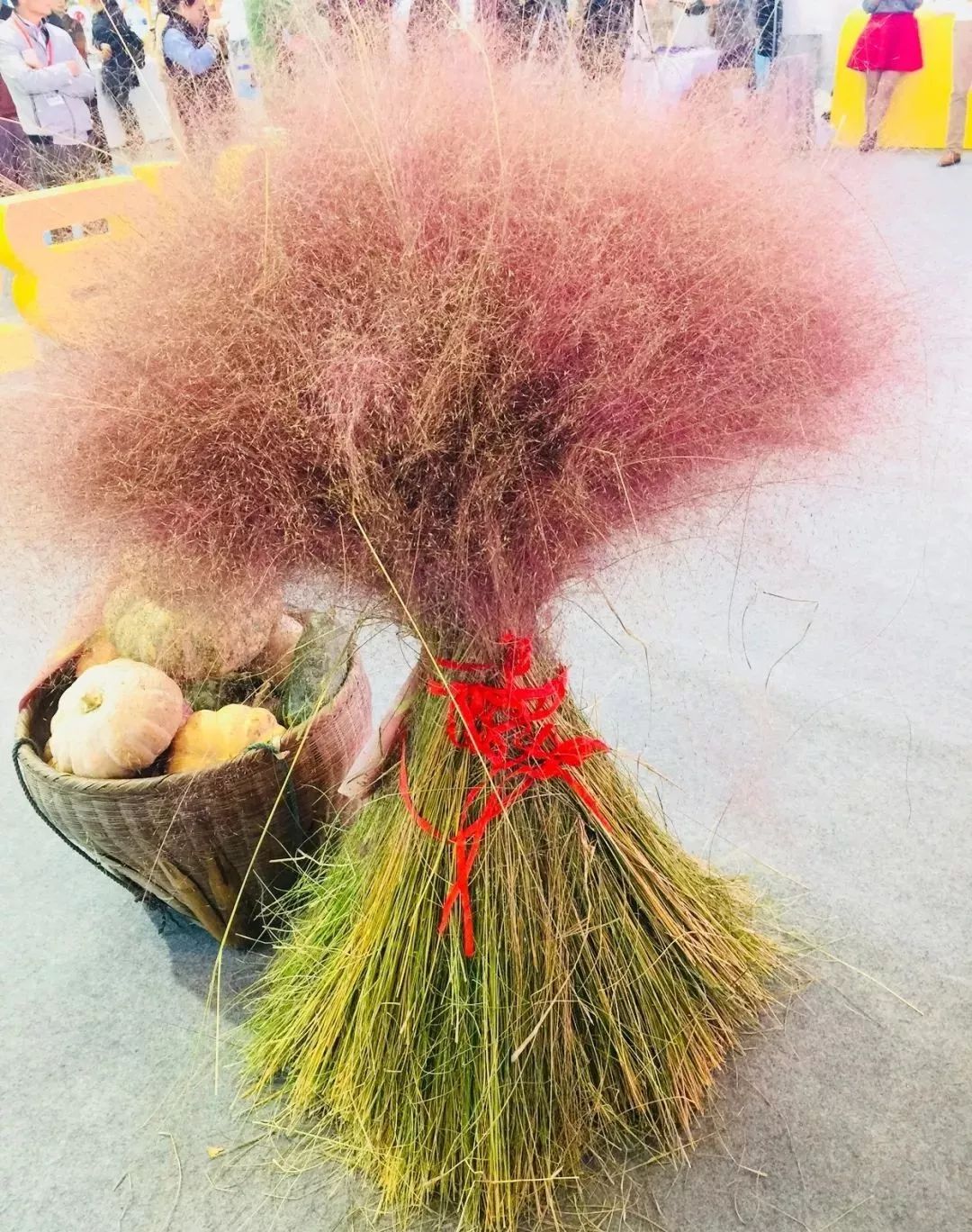 在这场连续三天的文化科技盛宴上，南京广电给你带来了……